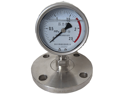 Direct Flanged Diaphragm Gauge